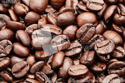 Image of roasted coffee beans