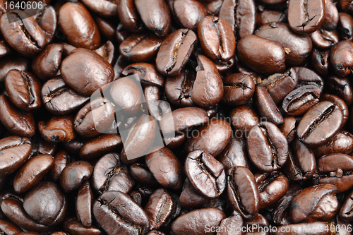 Image of coffee bean close up