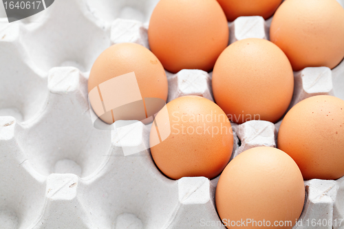 Image of egg in box