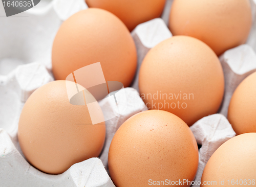 Image of brown eggs in box