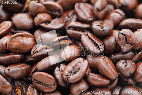 Image of coffee bean