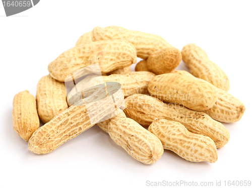 Image of peanut