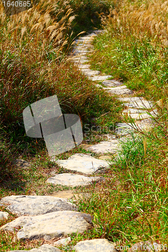 Image of mountain path