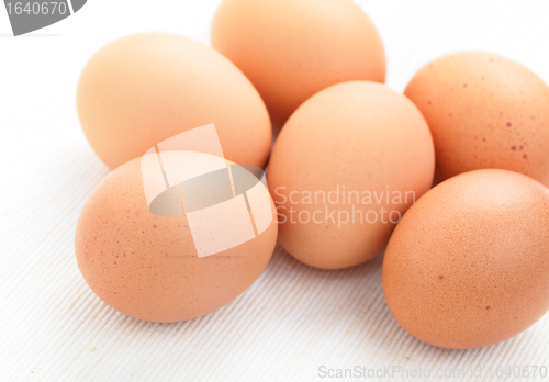 Image of fresh eggs