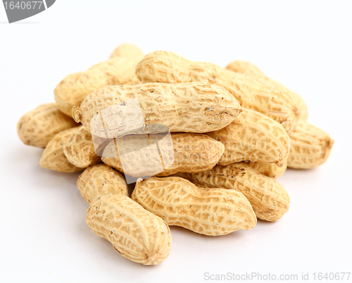 Image of peanut