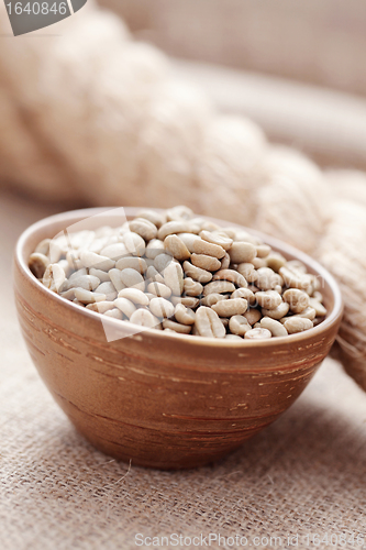 Image of unroasted coffee beans
