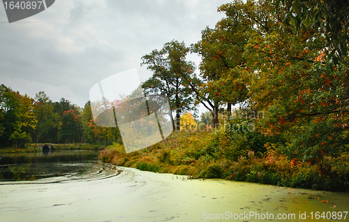 Image of Autumn on a Lake