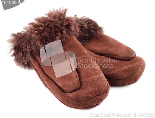 Image of Fur Mittens