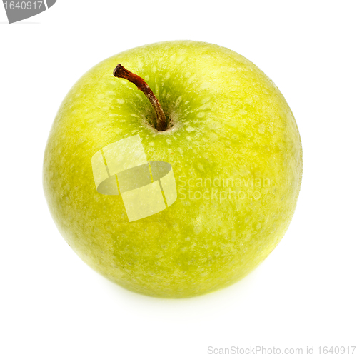 Image of Yellow Apple