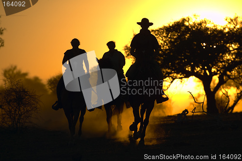 Image of horse safari