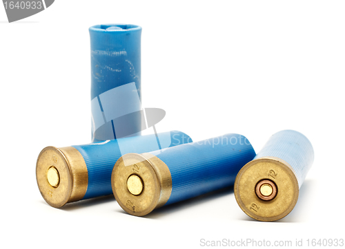 Image of Shotgun Cartridges