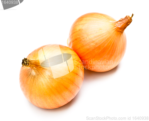 Image of Two Onions