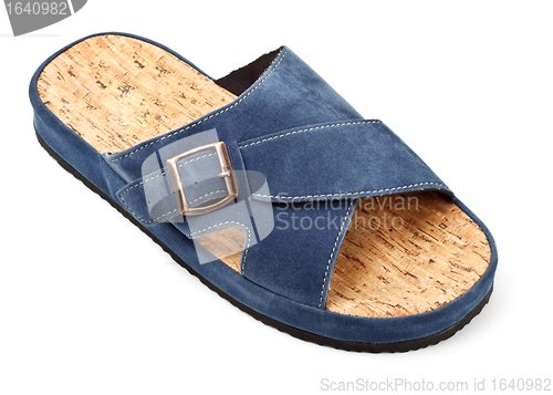 Image of blue slipper