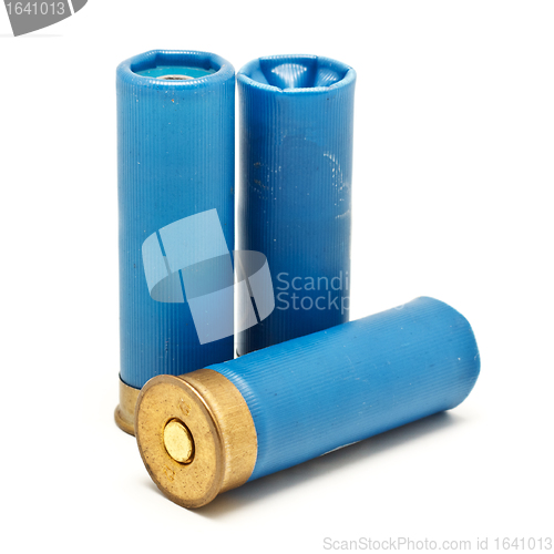 Image of Shotgun Cartridges