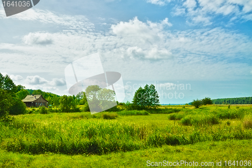 Image of Sunny Meadow