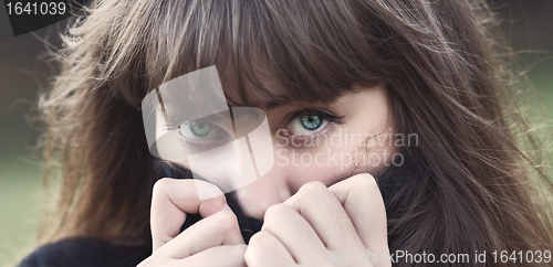 Image of Beautiful Girl Portrait