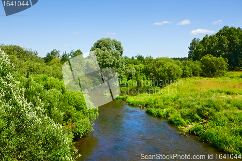Image of Summer Landscape