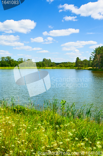 Image of Summer Landscape