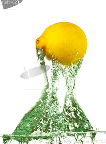 Image of Lemon Jumps from Water