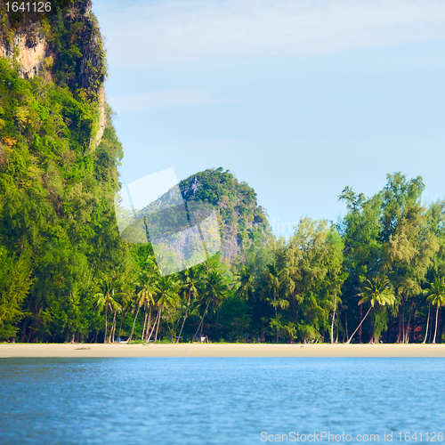 Image of Andaman Shore