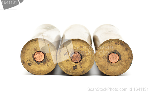 Image of Shotgun Cartridges