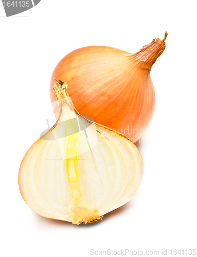 Image of Two Onions