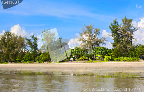 Image of Andaman Shore