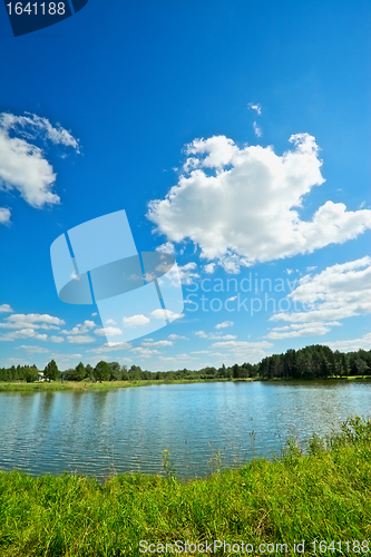 Image of Summer Landscape