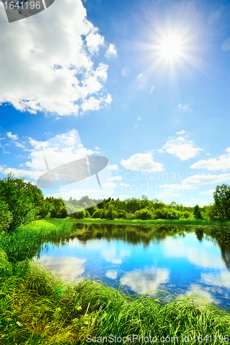 Image of Summer Landscape