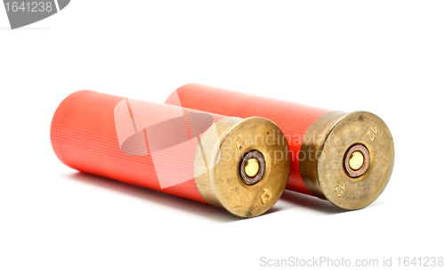 Image of Shotgun Cartridges