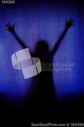 Image of Apparition Silhouette