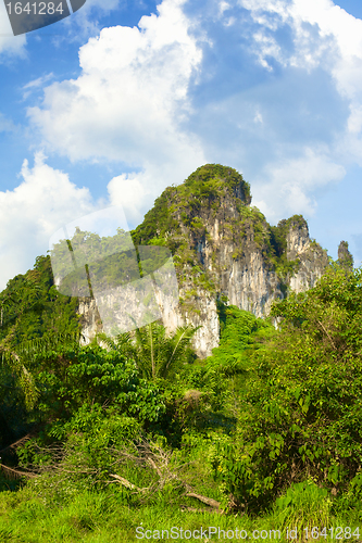 Image of Thai Mountains