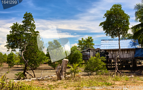 Image of Thai Village