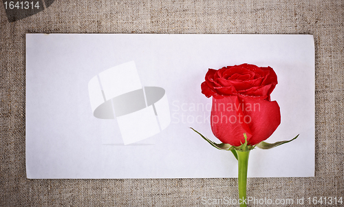 Image of Red Rose and Letter