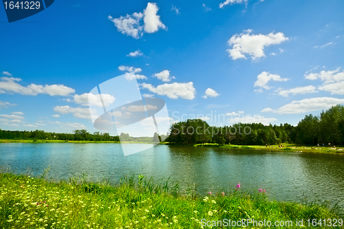 Image of Summer Landscape