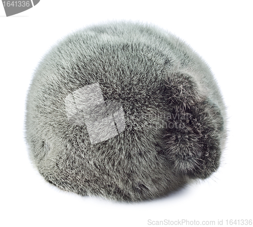 Image of Winter Cap