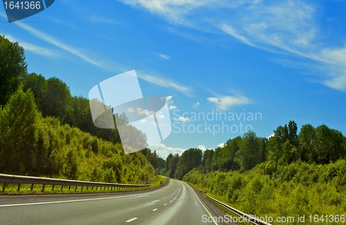 Image of Forest Highway