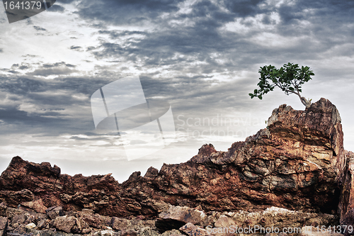 Image of Rocky Shore