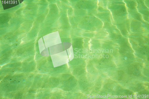 Image of Seabed Background
