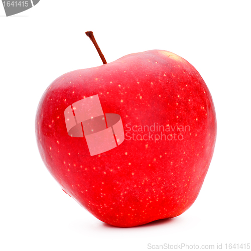 Image of Red Apple