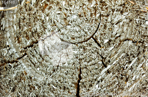 Image of Texture of Old Wood