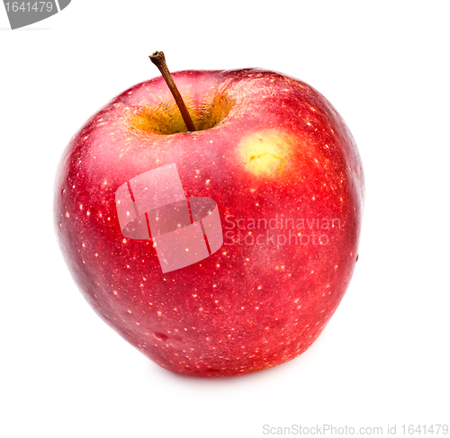 Image of Red Apple