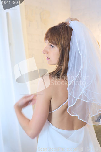 Image of Bride in Veil