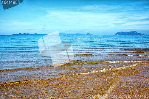 Image of tropical beach