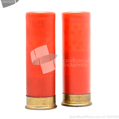 Image of Shotgun Cartridges