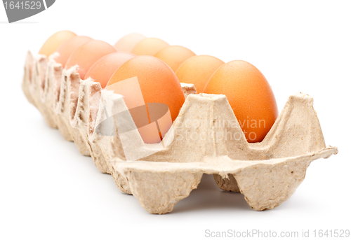Image of Eggs In Tray