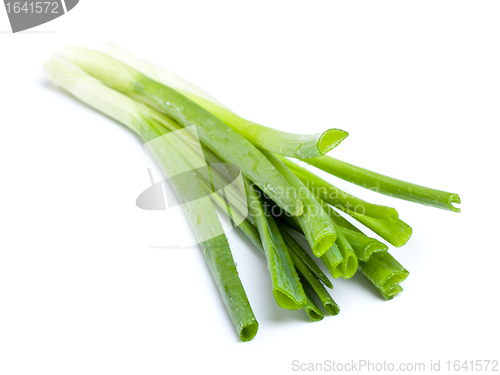 Image of Fresh Leek