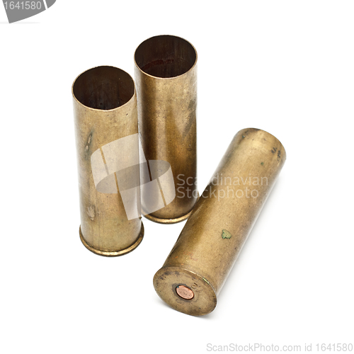 Image of Shotgun Cartridges