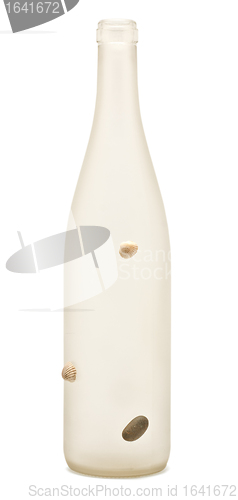 Image of Matt Bottle