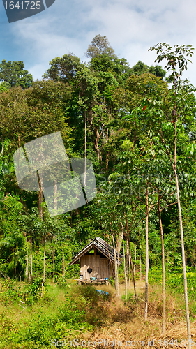 Image of Thai Jungle